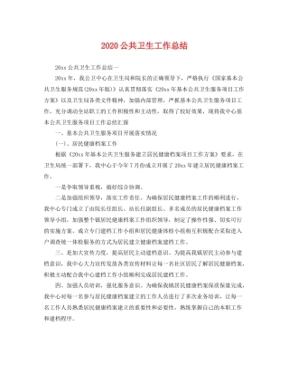 公共卫生工作总结  (2)