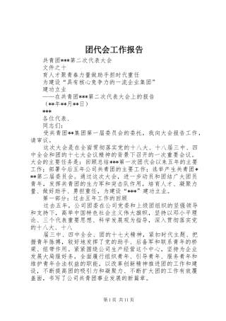 团代会工作报告 (14)