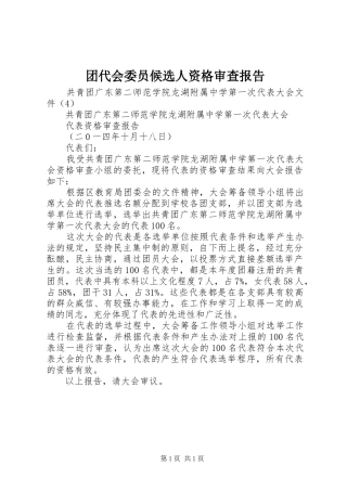 团代会委员候选人资格审查报告