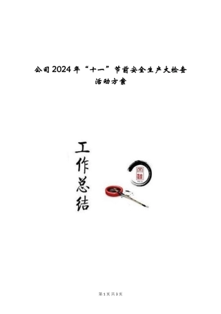 公司2024年“十一”节前安全生产大检查活动方案