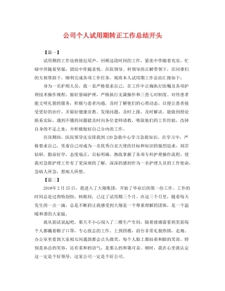 公司个人试用期转正工作总结开头 