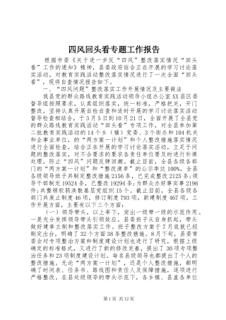 四风回头看专题工作报告