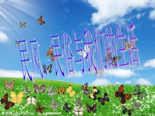 六年级上册品德课