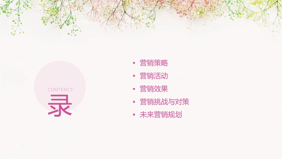 英里全程营销纪录课件_第2页