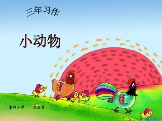 小动物作文指导