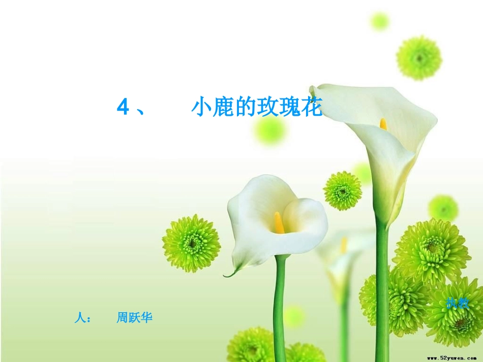 小鹿的玫瑰花课件_第1页