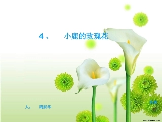小鹿的玫瑰花课件