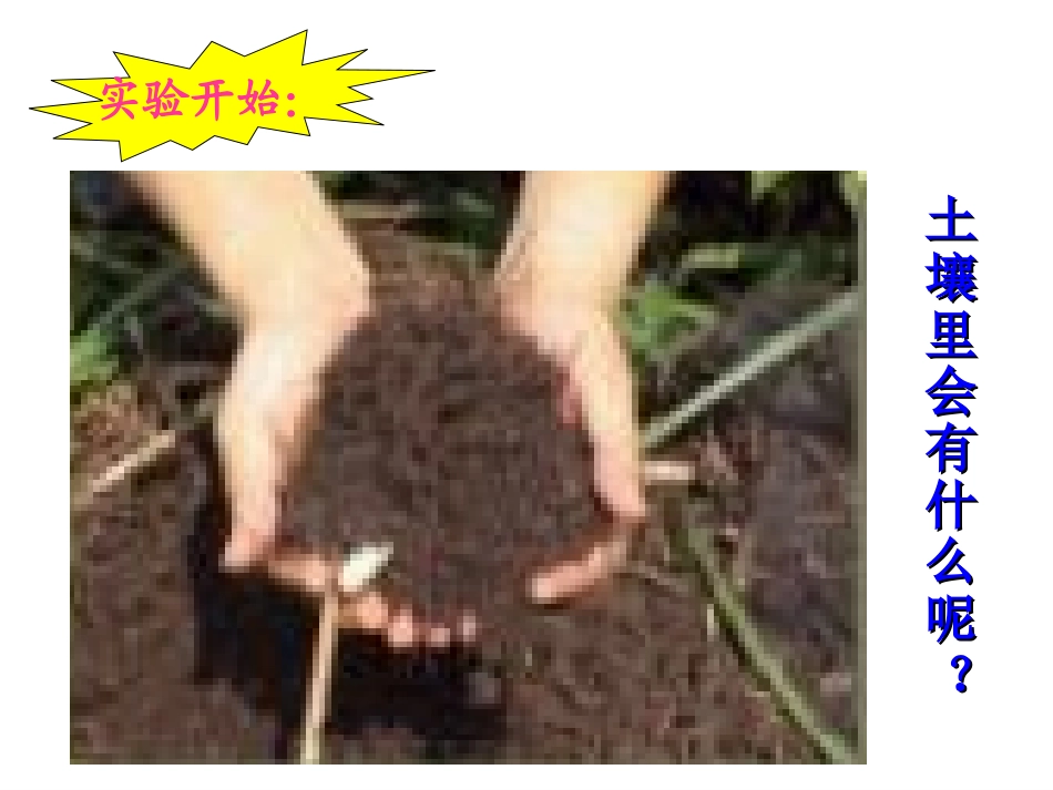 教科版五年级级科学上册_《土壤中有什么》课件_第2页