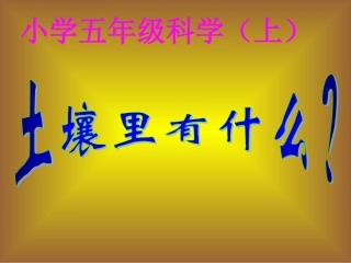 教科版五年级级科学上册_《土壤中有什么》课件