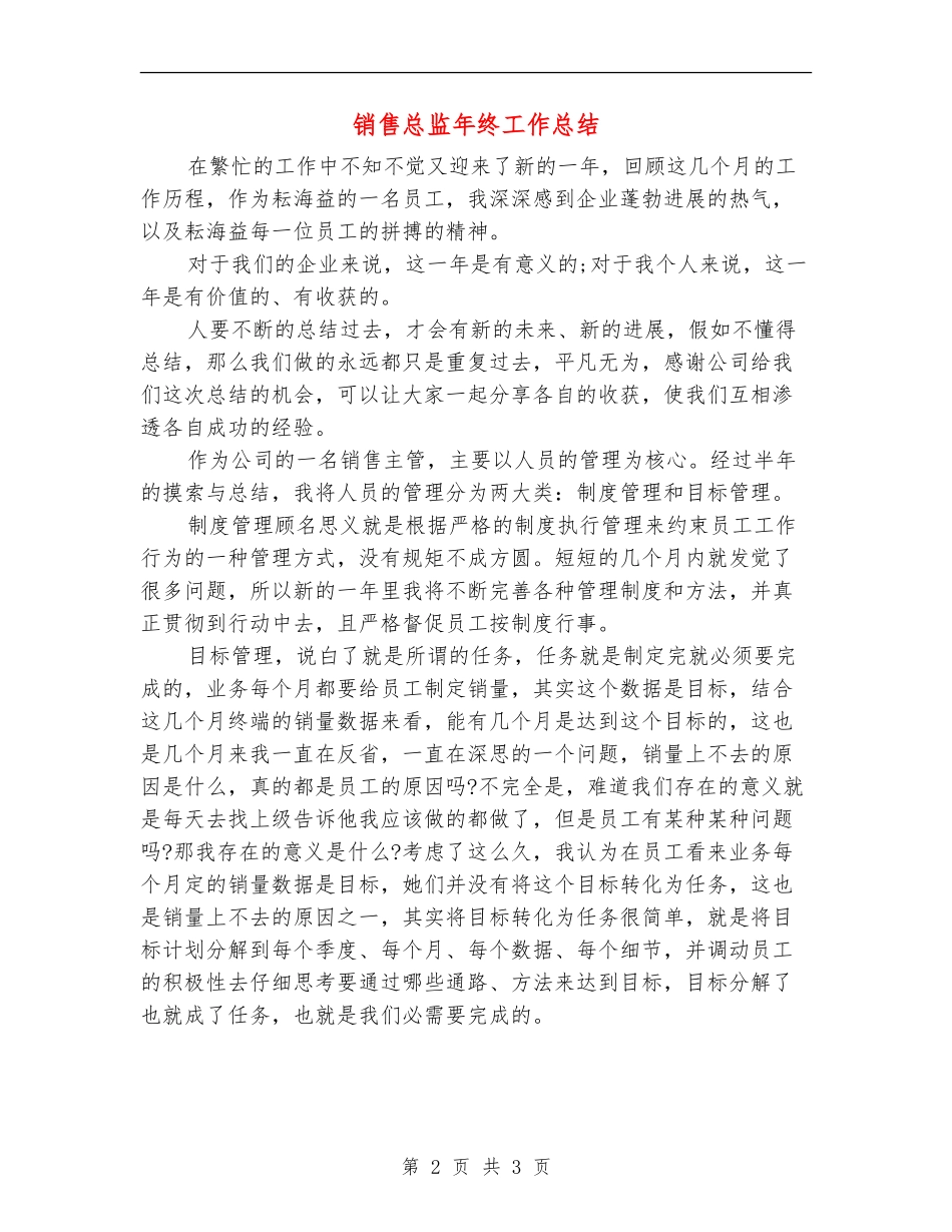 销售总监年终工作总结_第2页