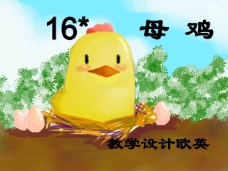 母鸡课件 (2)