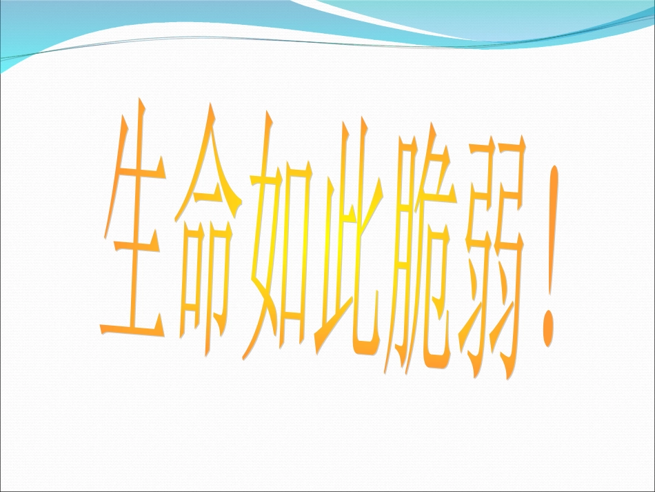 安全出行幸福你我主题班会_第2页