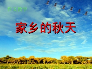 家乡的秋天 (2)