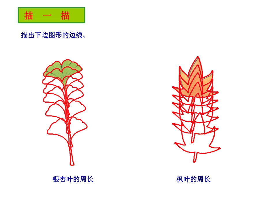 三年级什么是周长公开课课件_第3页