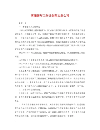 客服新年工作计划范文怎么写 