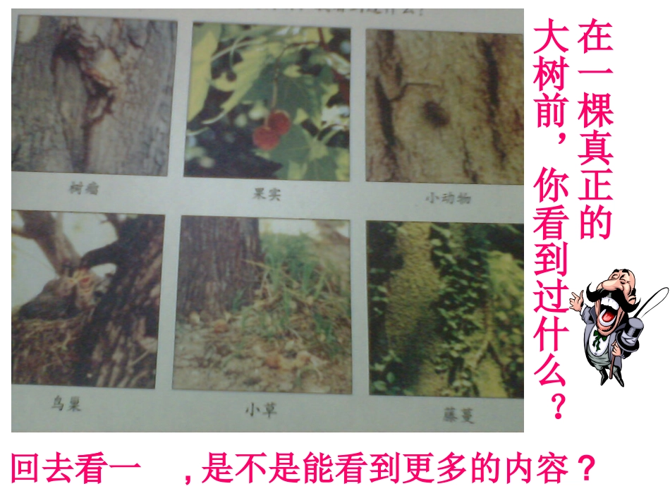 《我看到了什么》课件3_第3页