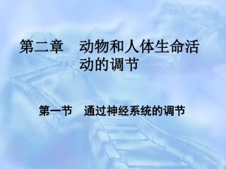 课件《通过神经系统的调节》王有成