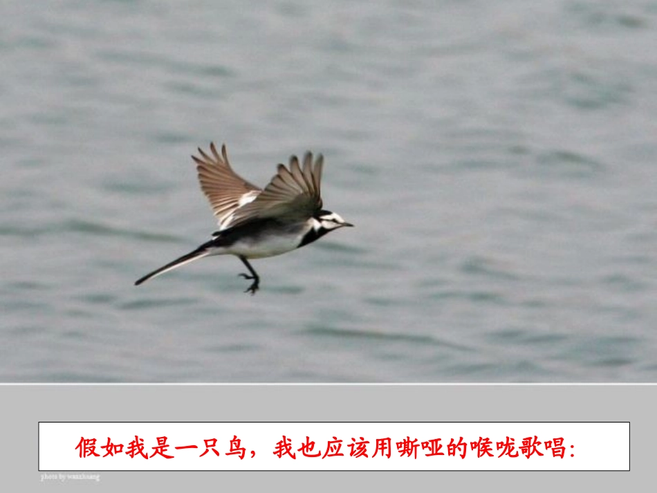 我爱这土地 (2)_第2页