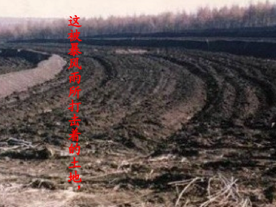 我爱这土地 (2)_第3页