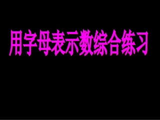 用字母表示数综合练习