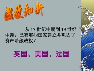 人教历史九年级上第19课