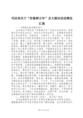 司法局关于“形象树立年”及大接访活动情况汇报
