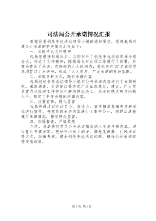 司法局公开承诺情况汇报