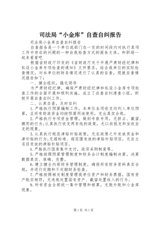 司法局“小金库”自查自纠报告