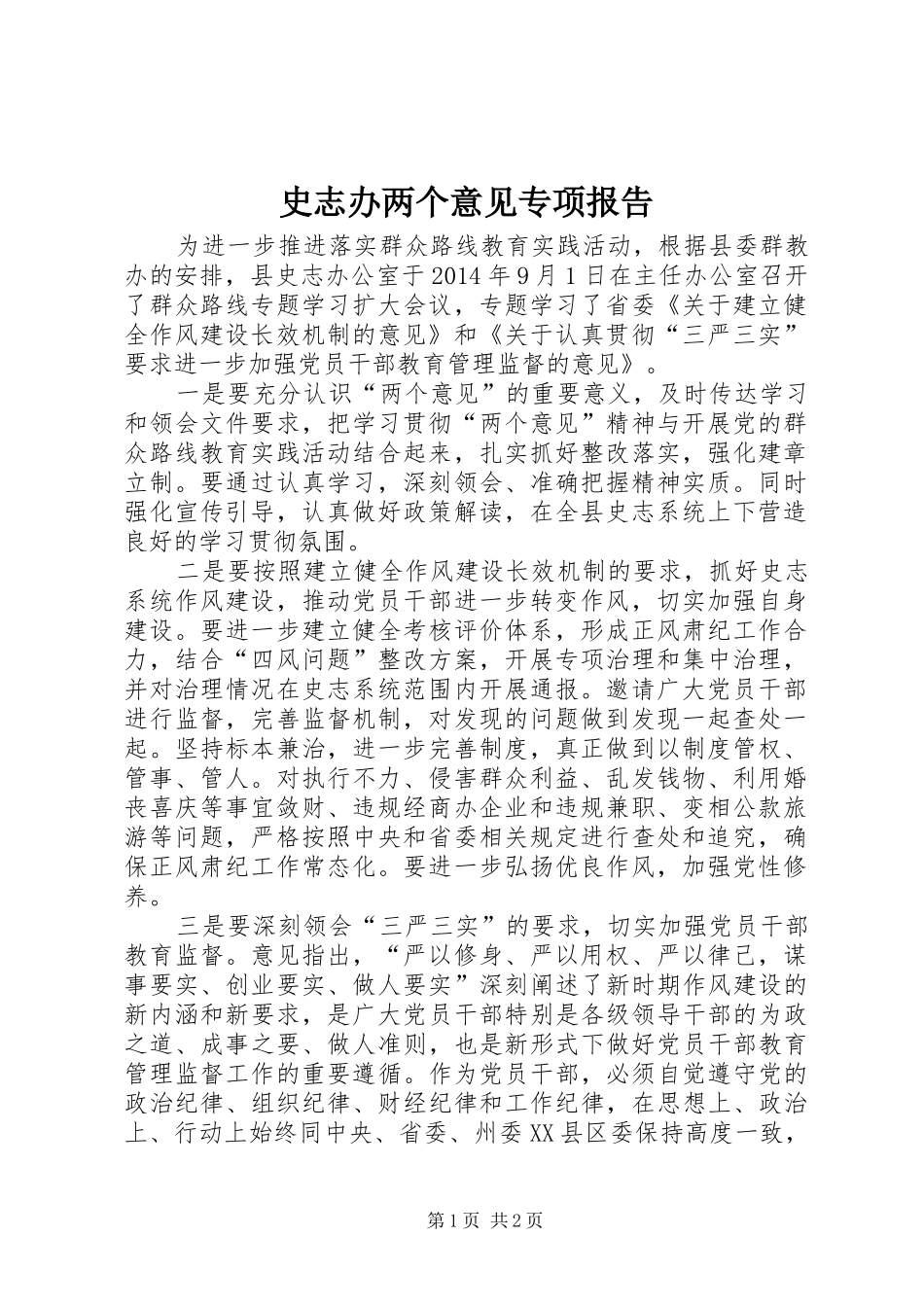史志办两个意见专项报告_第1页