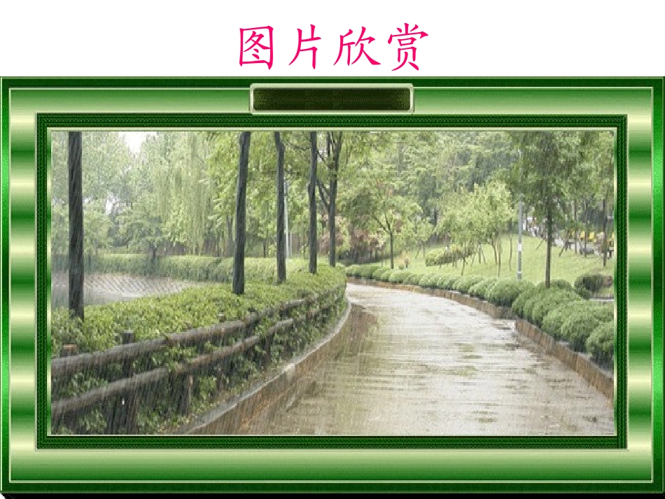 《雨后》课堂演示课件成品_第2页