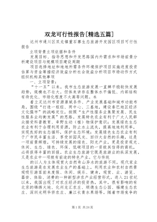 双龙可行性报告[精选五篇]