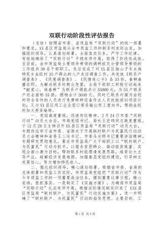 双联行动阶段性评估报告