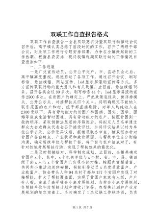 双联工作自查报告格式