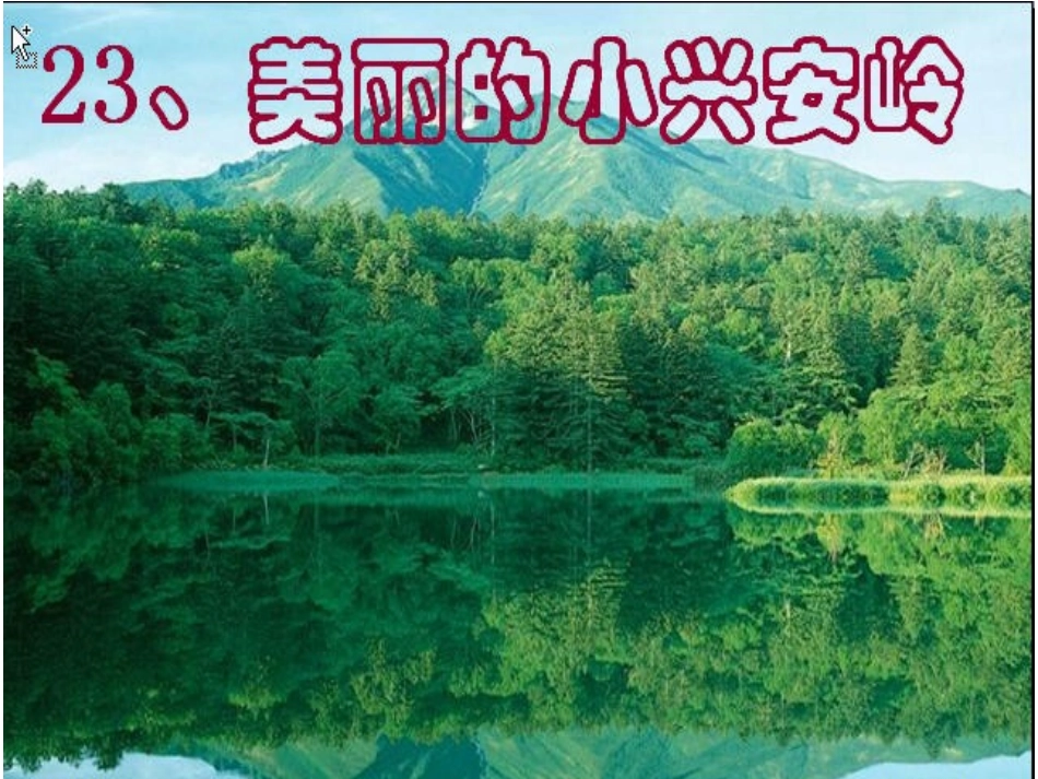 美丽的小兴安岭 (6)_第1页