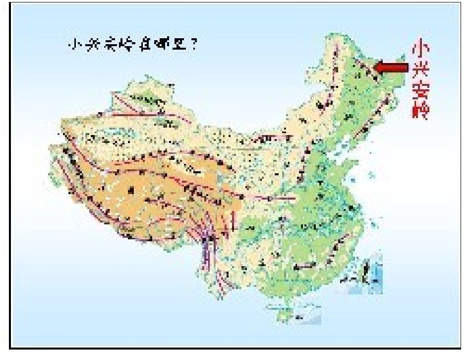 美丽的小兴安岭 (6)_第2页