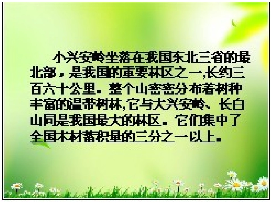 美丽的小兴安岭 (6)_第3页