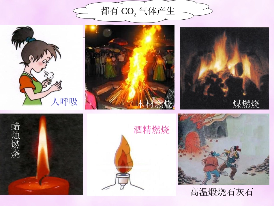 实验室二氧化碳的制取课件_第2页