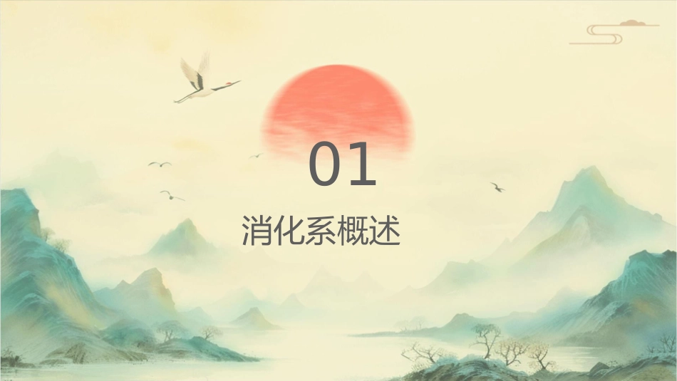 正常人体结构 消化系统内脏总论护理课件_第3页