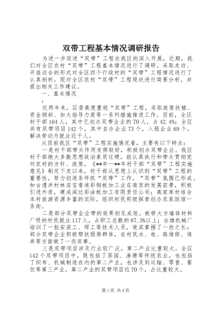 双带工程基本情况调研报告
