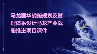 马龙国华战略规划及管理体系设计马龙产业战略推进项目课件