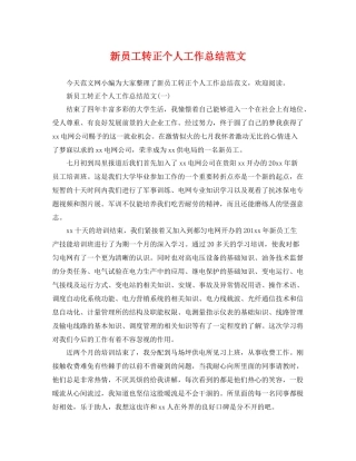 新员工转正个人工作总结范文 