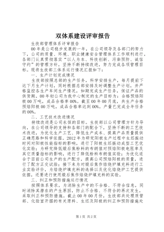 双体系建设评审报告