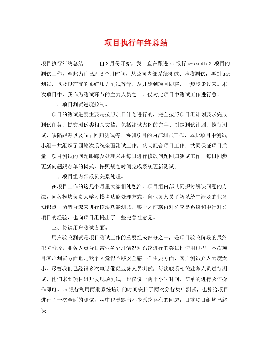 项目执行年终总结 _第1页