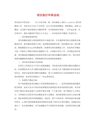 项目执行年终总结 