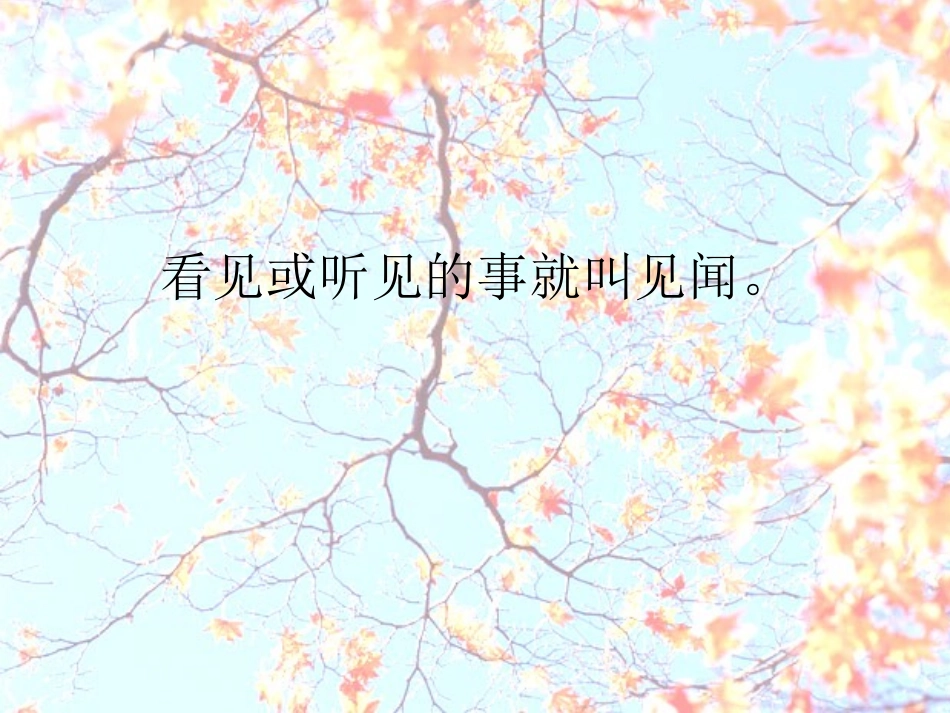 小学四年级语文《写不拘形式写见闻》教学课件_第1页