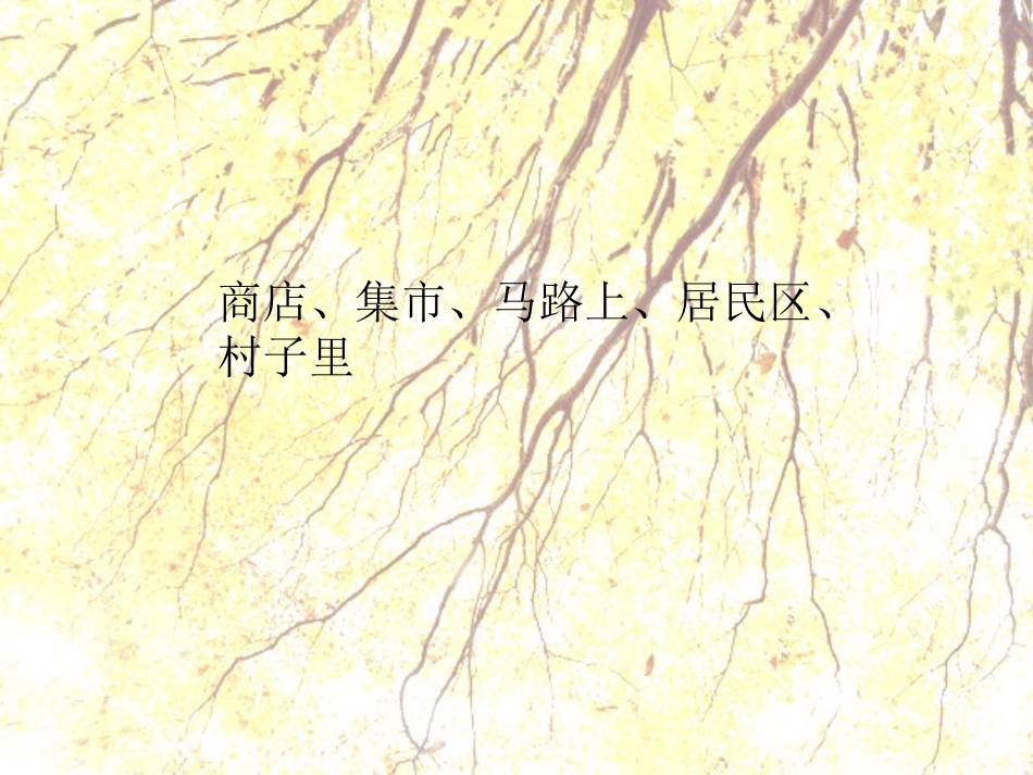 小学四年级语文《写不拘形式写见闻》教学课件_第2页