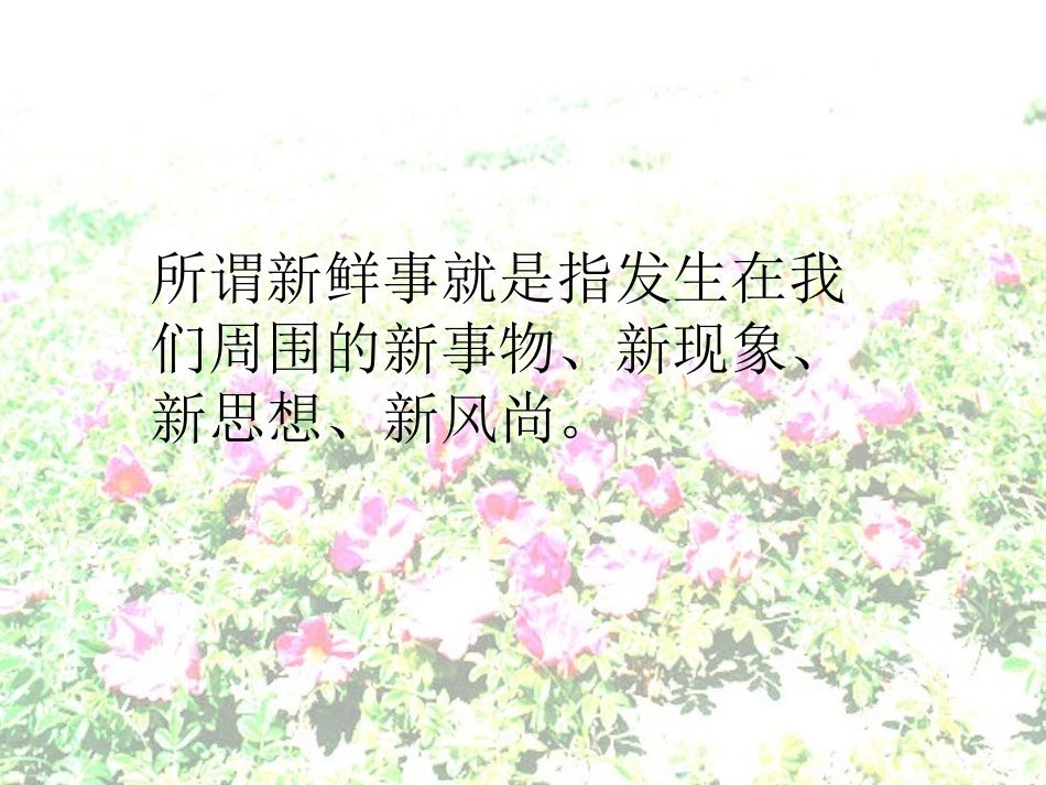 小学四年级语文《写不拘形式写见闻》教学课件_第3页