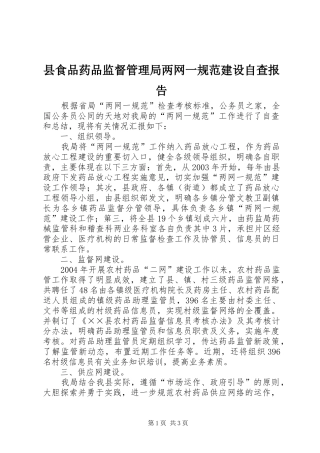 县食品药品监督管理局两网一规范建设自查报告