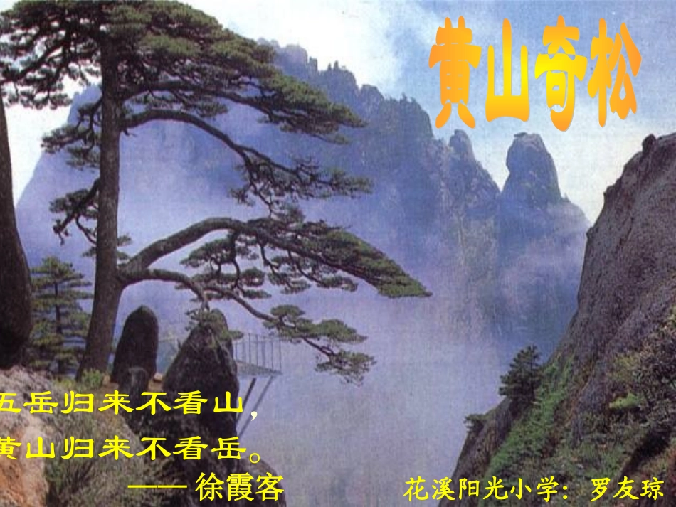 《黄山奇松》教学课件_第1页