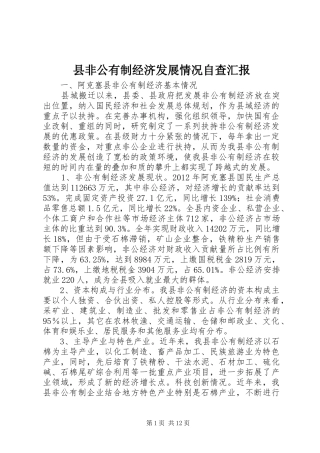 县非公有制经济发展情况自查汇报